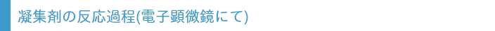 凝集剤の反応過程