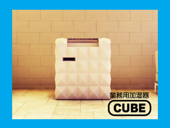 cube_20250207150638265.jpg